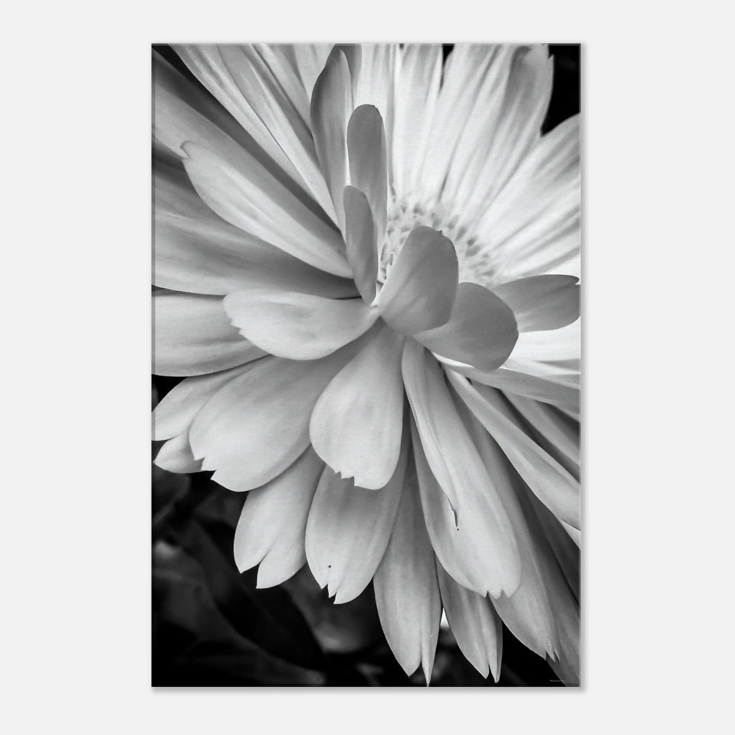 f5e47841-7976-4a5c-9e0f-a42bed862fd6