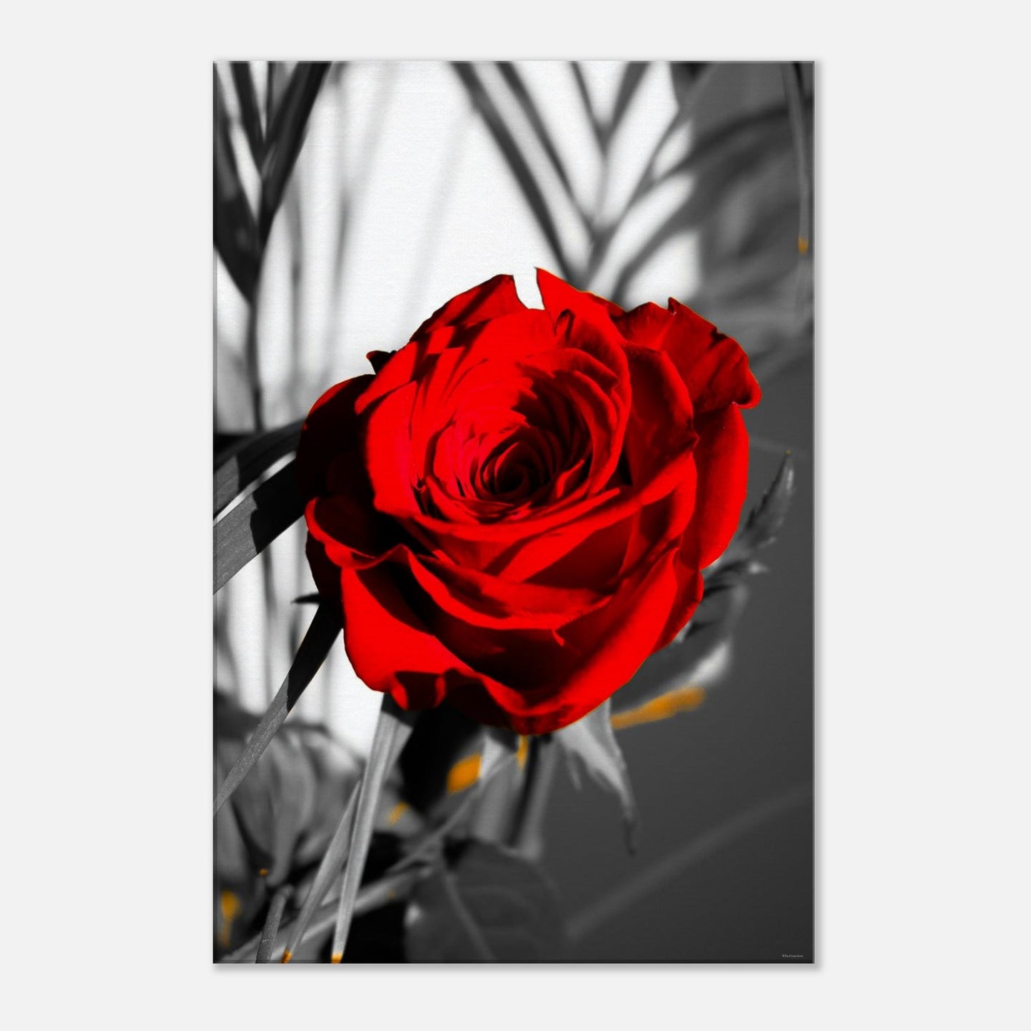 f60b9836-a617-44a2-830d-b14eaef3dd6e
