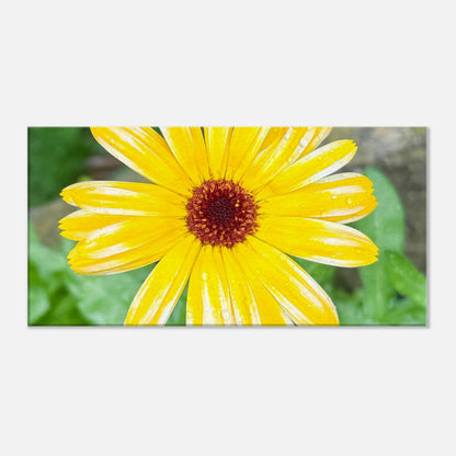 f64f3a57-1dce-4ed3-988a-3033ef3eb3e0