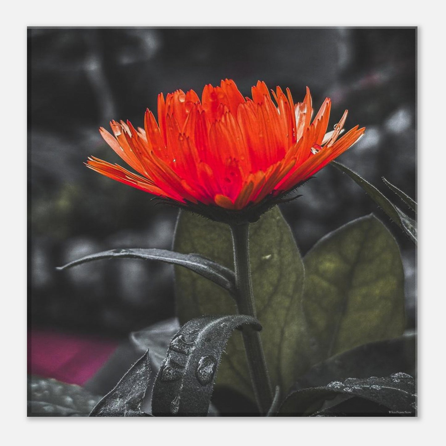 f6509600-4abd-45b4-90b5-2672865bc7f8