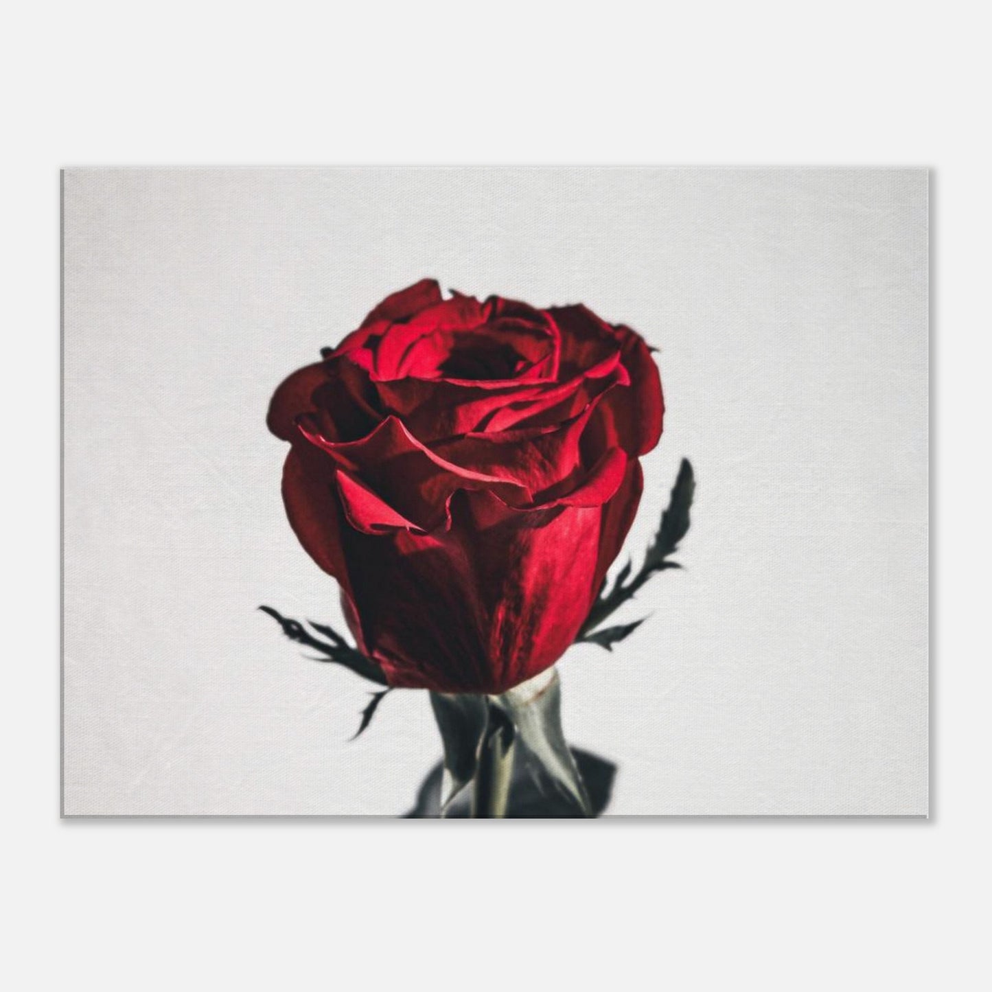 f69111d2-cb15-461b-80c5-5a6c3bd7e5ce