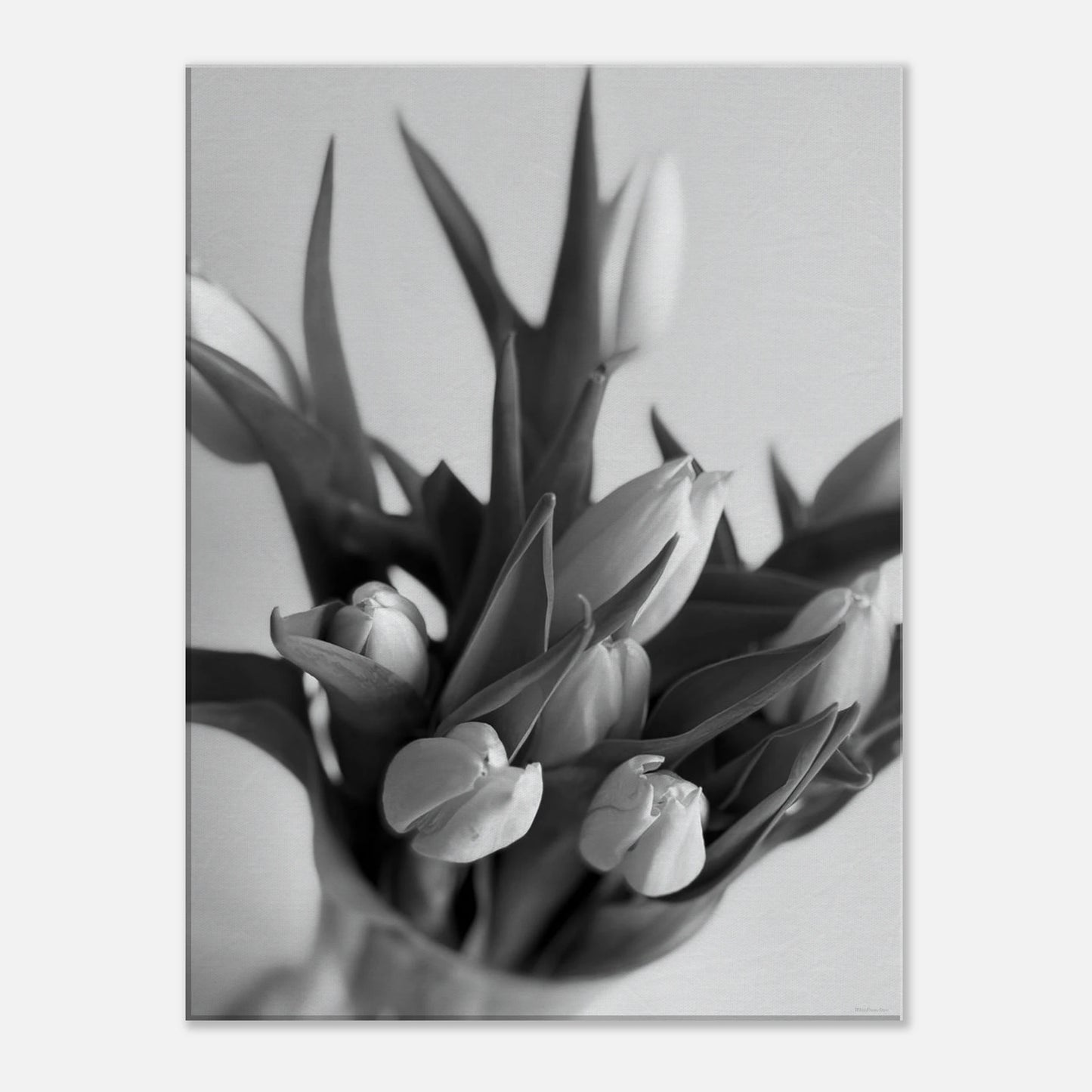 f6d8c3f4-075e-400b-a65a-68c521df61b7