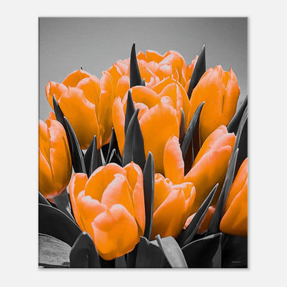 f6df525b-bd0c-4965-a605-9e3f79211a51