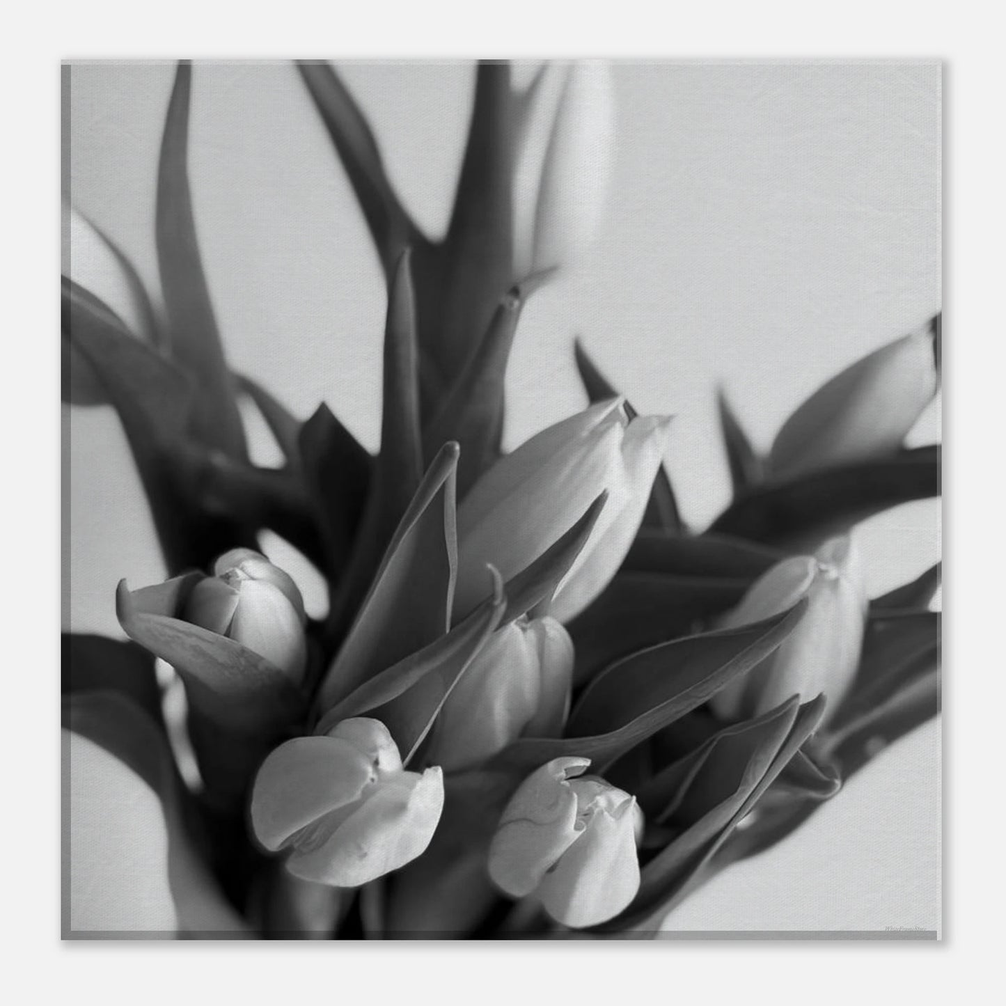 f70d372a-a078-4073-a294-d08a057b7b80