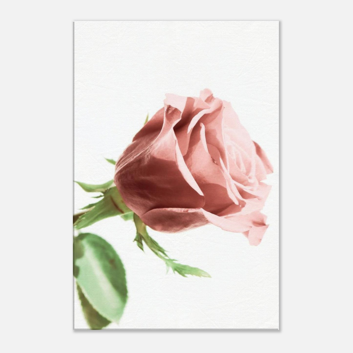 f71cd1c7-287e-486d-9c5a-5dec23feb048