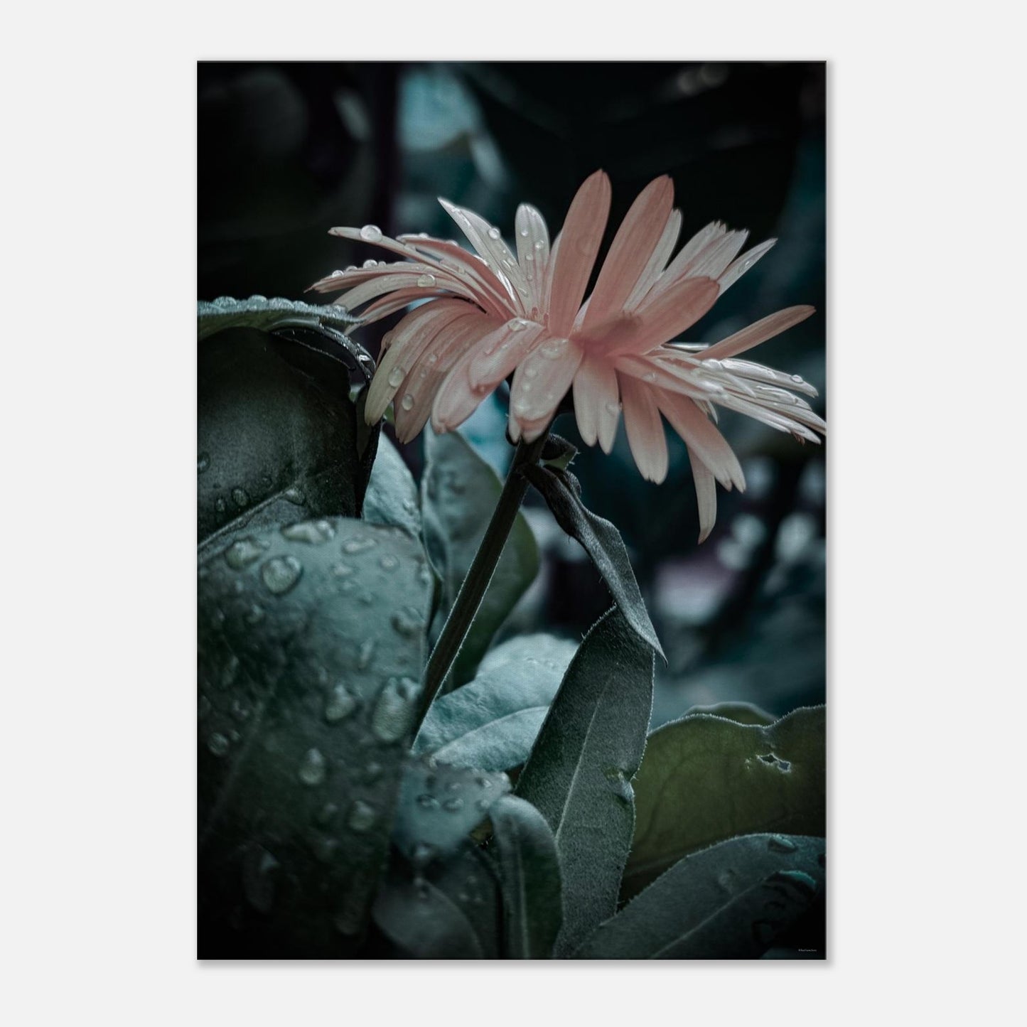 f71d330e-9945-4a1d-9e3f-e9cd1bab6e51