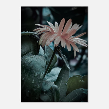 f71d330e-9945-4a1d-9e3f-e9cd1bab6e51