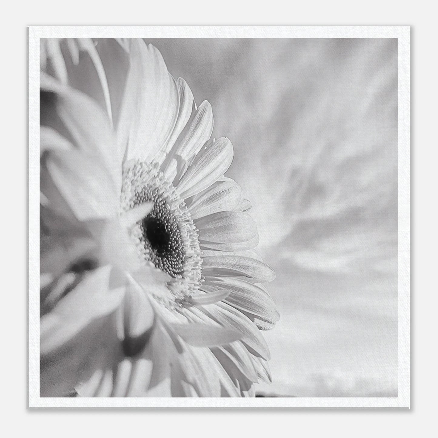 f7268ff4-021f-4e21-a7d6-5f63d73fc259