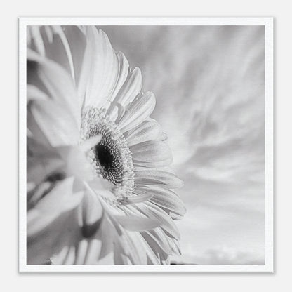 f7268ff4-021f-4e21-a7d6-5f63d73fc259