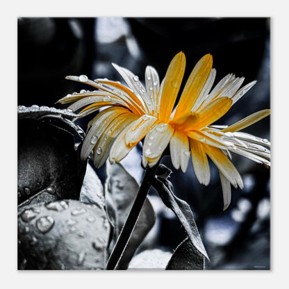 f733a54c-545c-431c-a96a-522f81bfd6c5