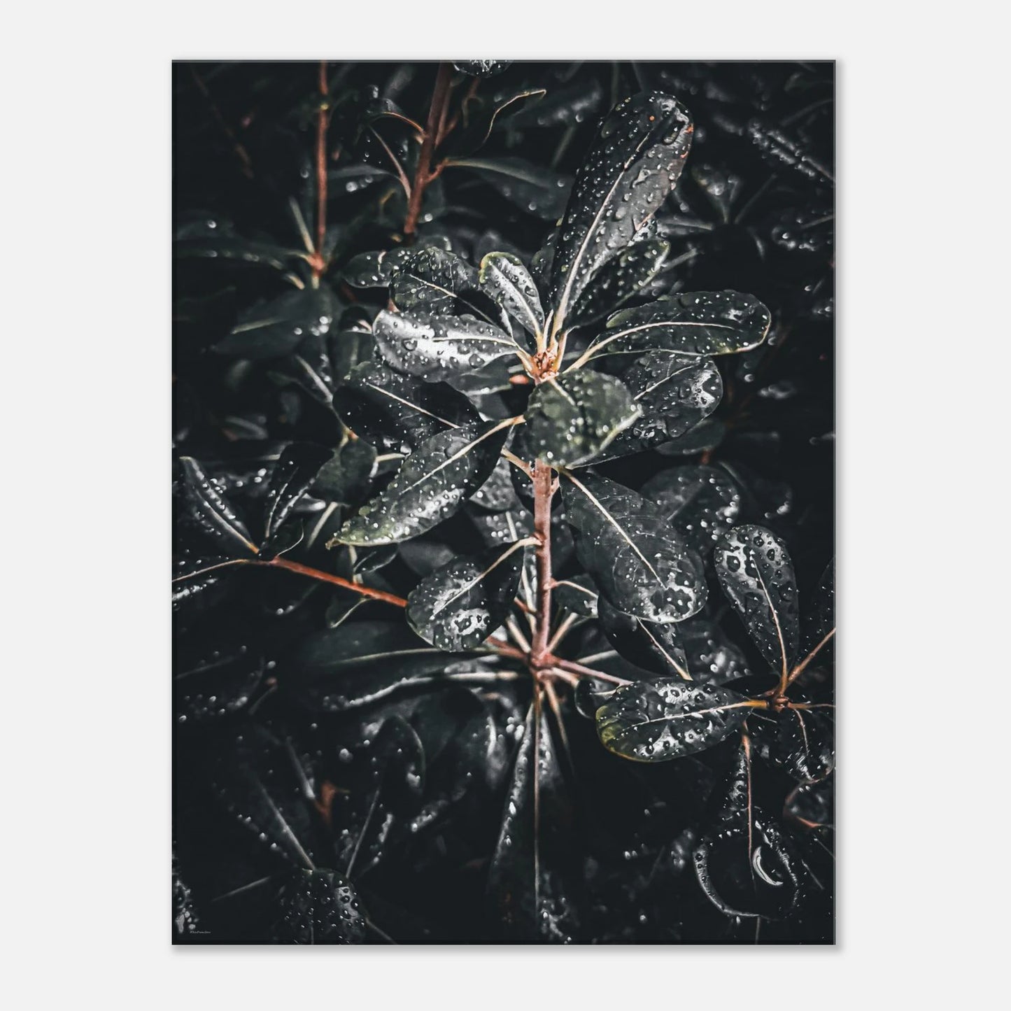 f74199d4-a7ce-4f90-bbfe-48f7fd48af09