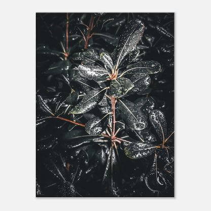 f74199d4-a7ce-4f90-bbfe-48f7fd48af09