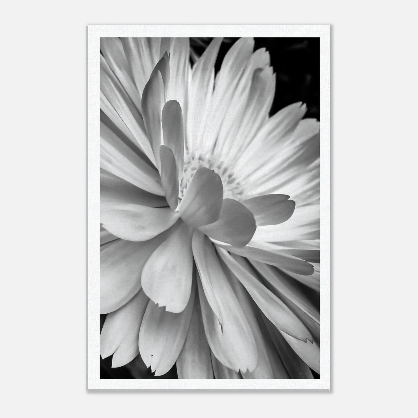 f746fd62-a7db-4c6b-9e12-c3aa0665dfd2