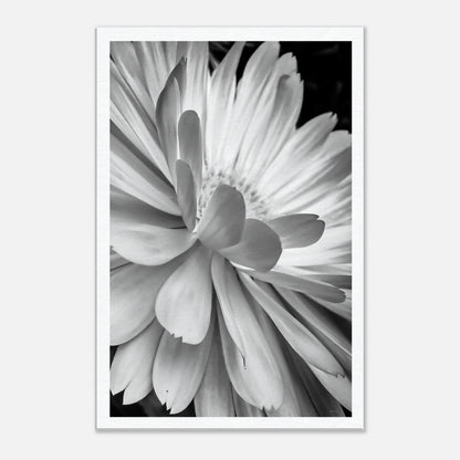 f746fd62-a7db-4c6b-9e12-c3aa0665dfd2