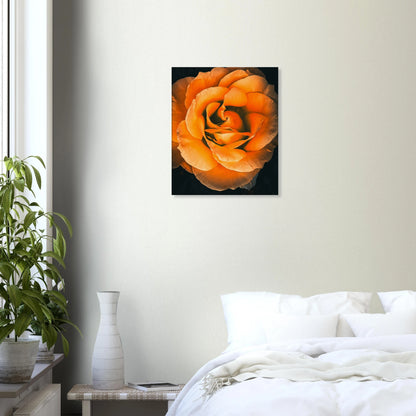 f7593fb2-068f-48f6-a96b-c3f66791cbd3