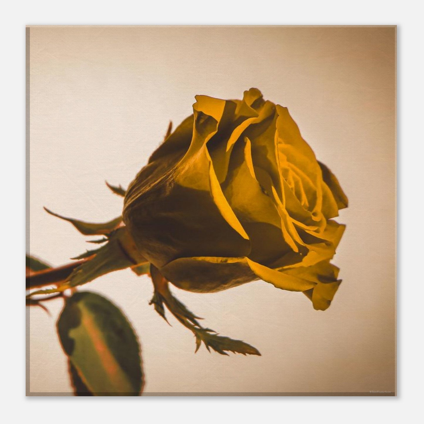 f7868625-5a56-46d2-8418-a9dddb32f247