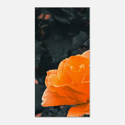 f78f0cfa-e1b8-4033-b9b8-12120038e3ca