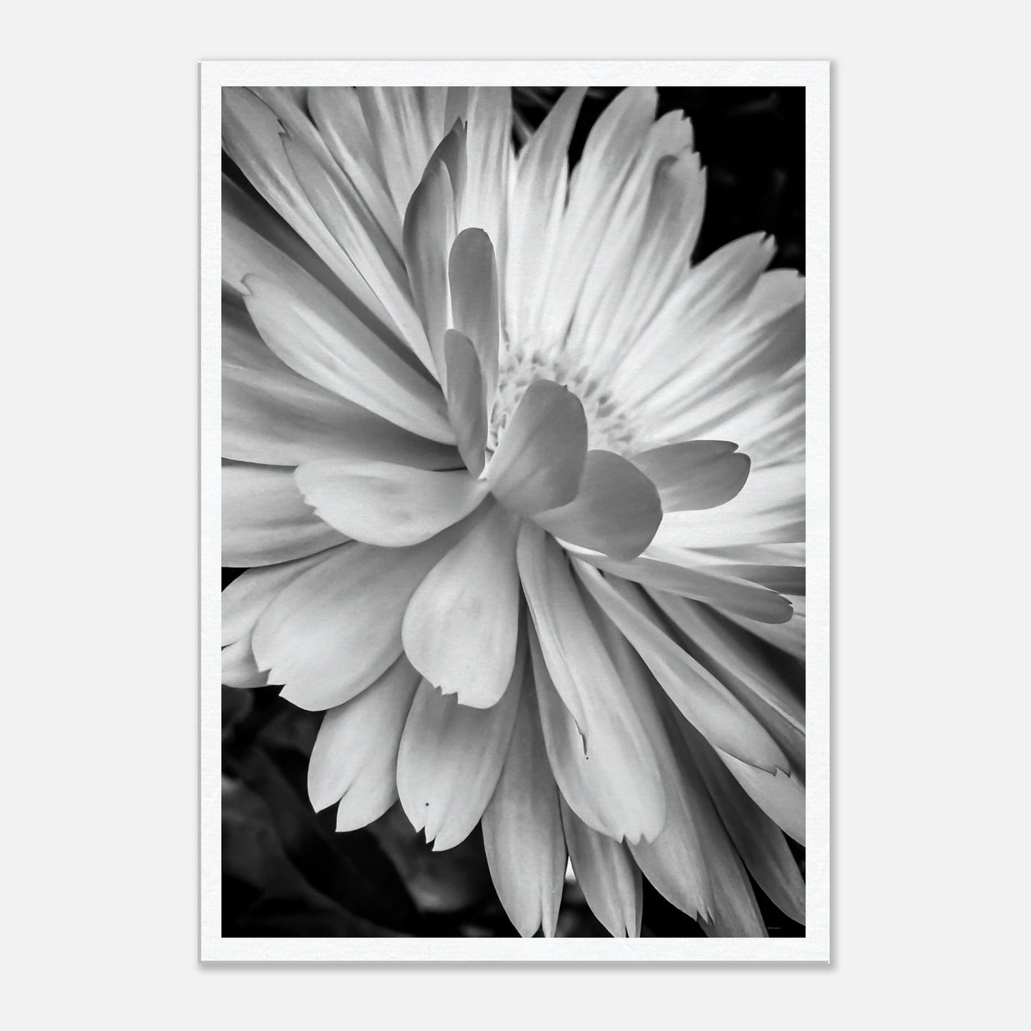 f7af041c-6d69-47be-898b-6bde3047cbbb