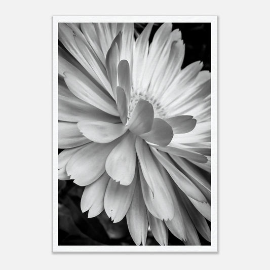 f7af041c-6d69-47be-898b-6bde3047cbbb