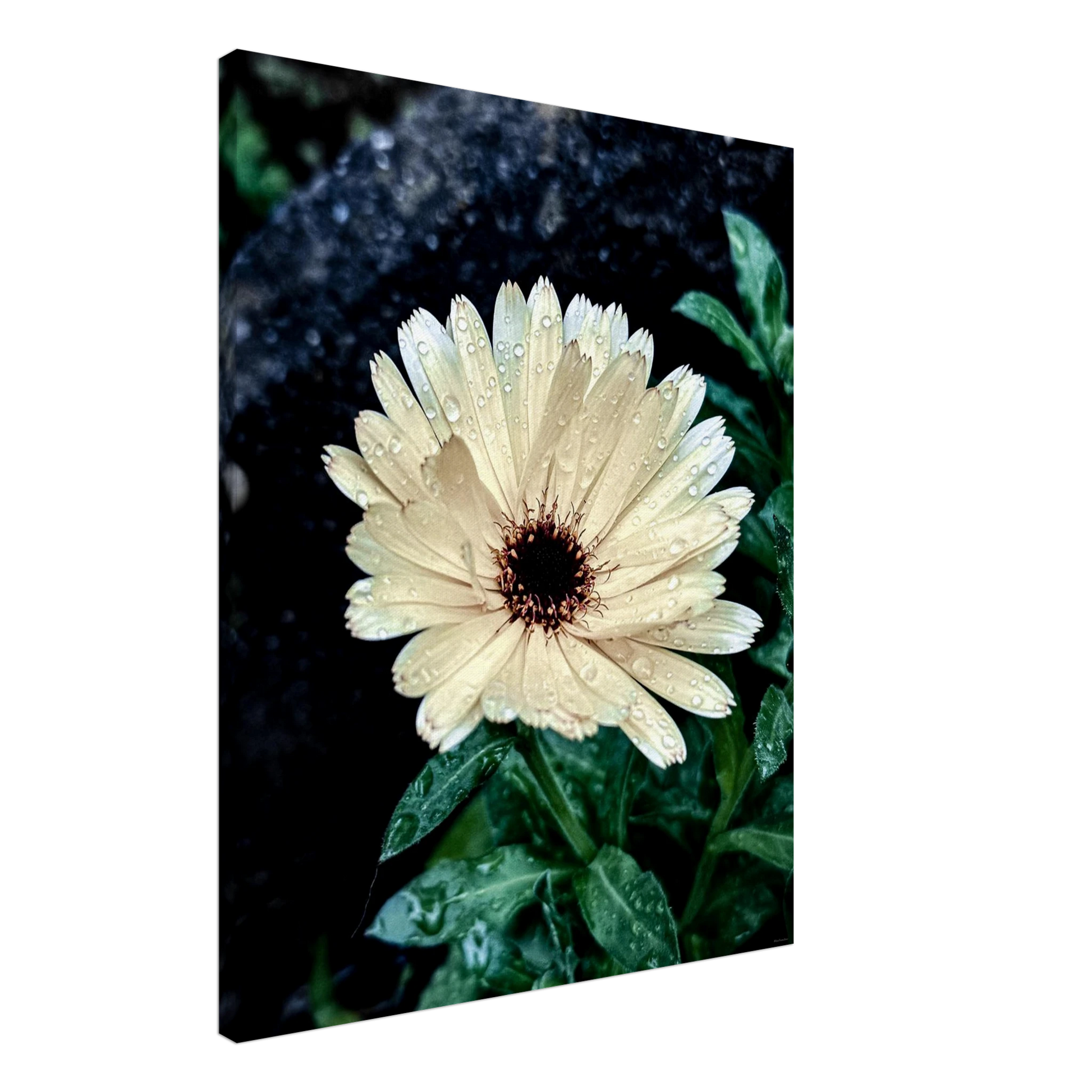 f7d2a0b7-29f3-4452-acf3-1b724e798870