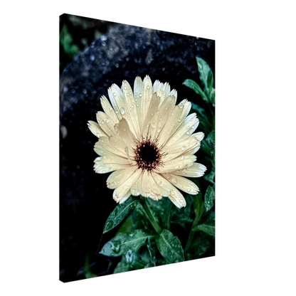 f7d2a0b7-29f3-4452-acf3-1b724e798870