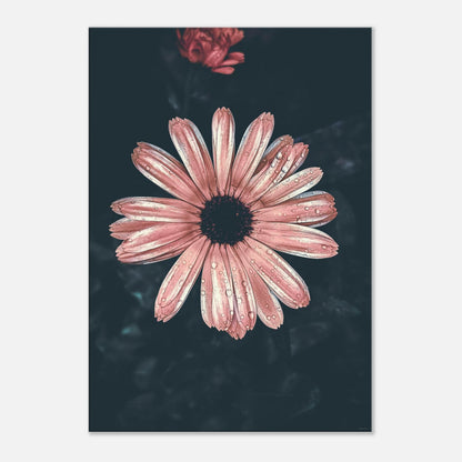 f7f90257-909d-45a2-ab98-7a3d1948b12b