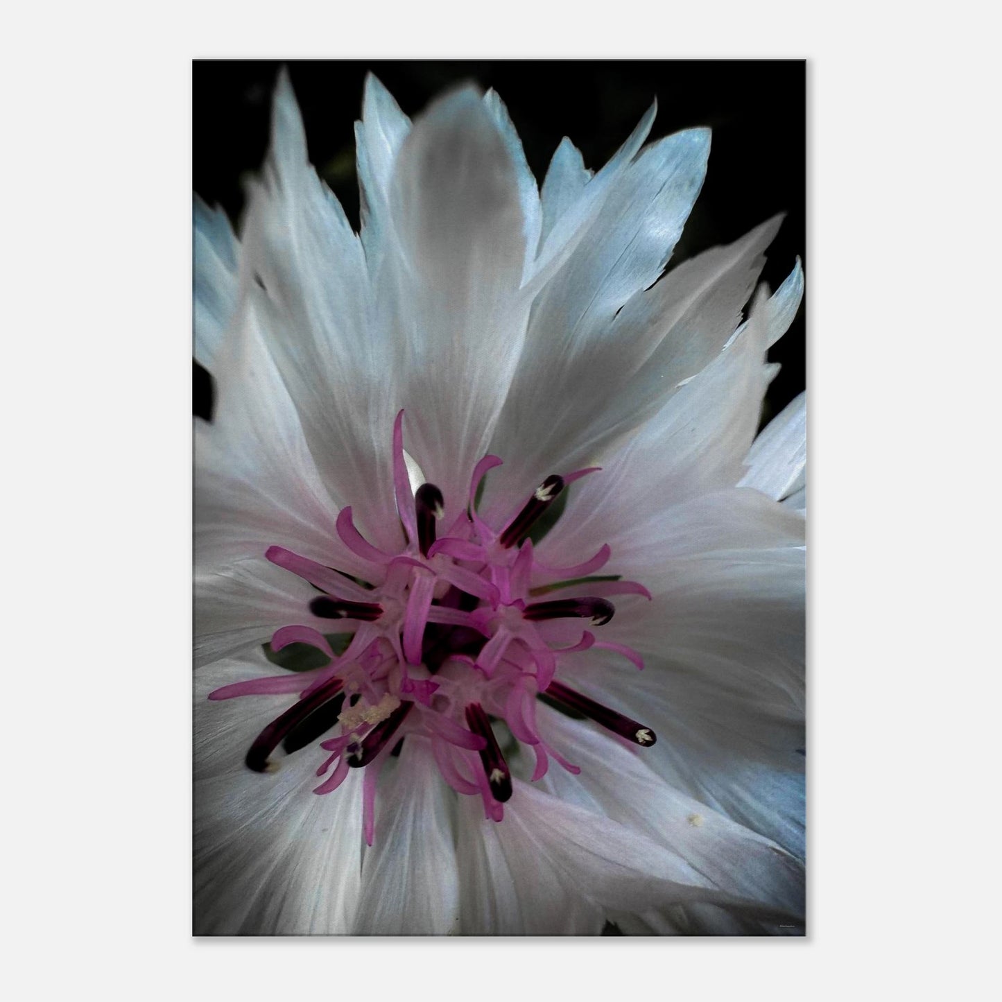 f7fc0a7a-f779-4c9f-9306-4081184a4be7