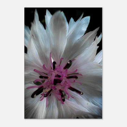 f7fc0a7a-f779-4c9f-9306-4081184a4be7