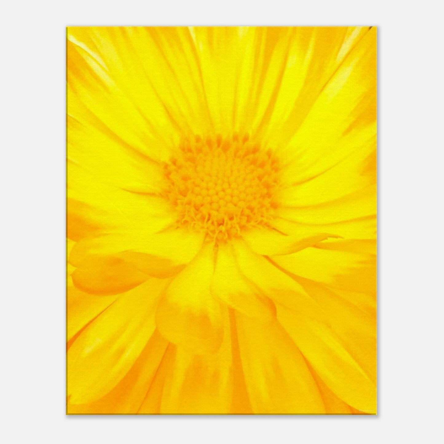 f804a78e-f900-46e5-81bb-e20378b53ff5