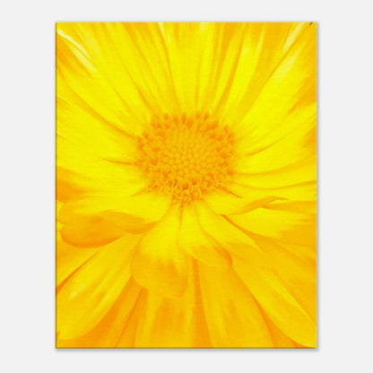 f804a78e-f900-46e5-81bb-e20378b53ff5