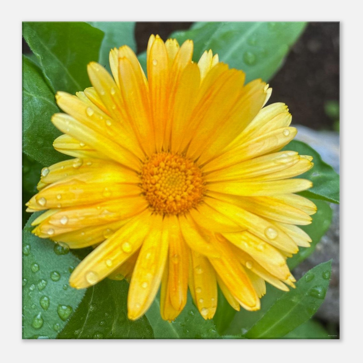 f82917b4-6591-48b6-b11f-be8f54bdf623