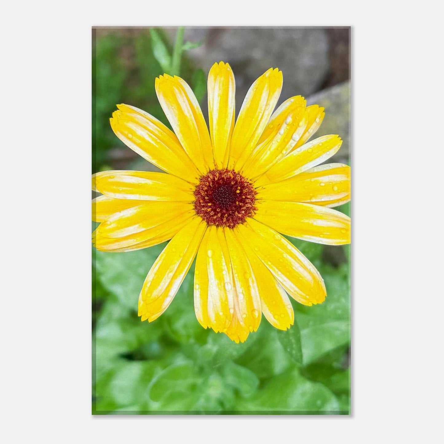f8363037-5677-4608-9a44-a75ed0c5870e