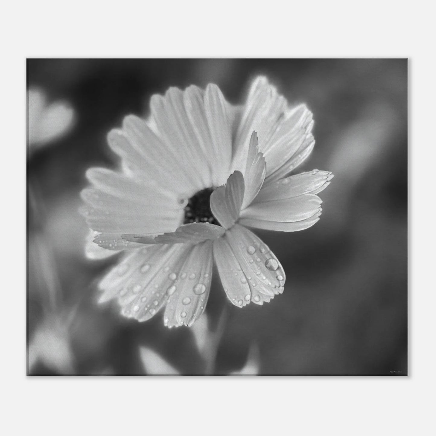 f8993db4-c2f1-4f05-ab34-08c52f24b445