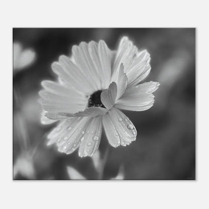 f8993db4-c2f1-4f05-ab34-08c52f24b445