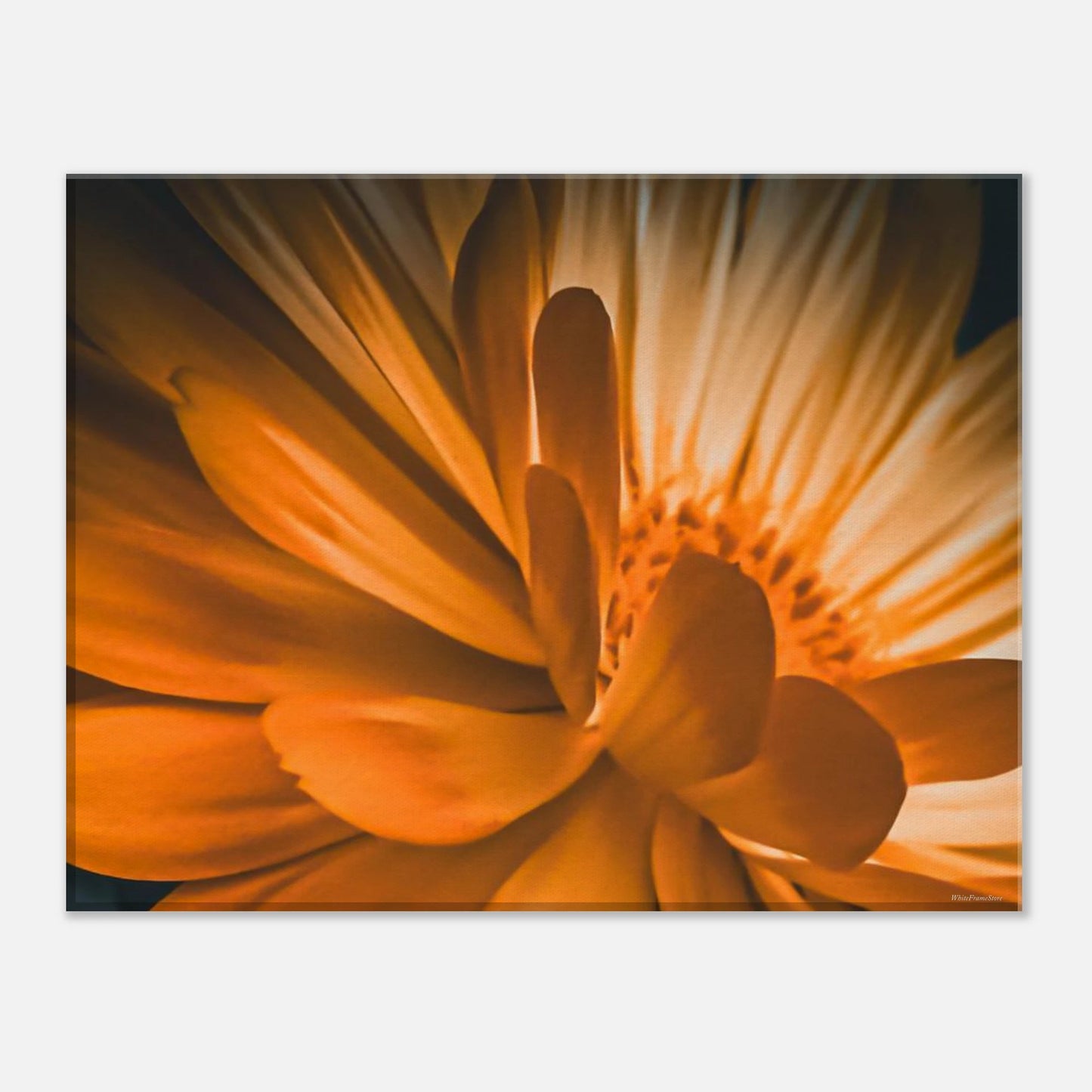 f8b2d2a5-cb2b-48b2-b35e-dee3e058720e