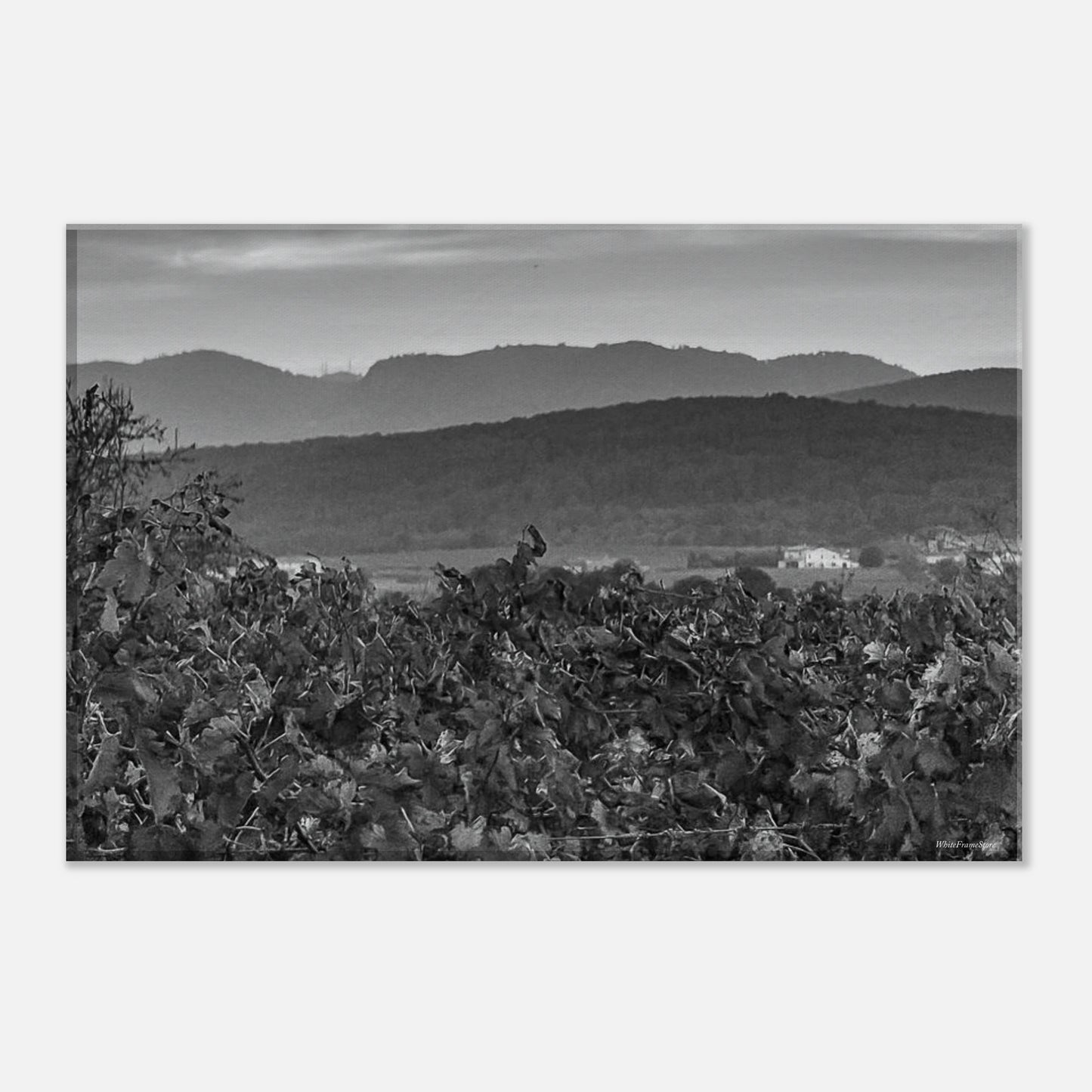 f8e029ed-daca-4df5-bcc9-e6bfc82d46c4