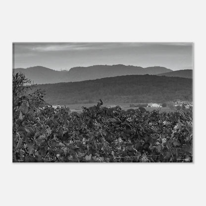 f8e029ed-daca-4df5-bcc9-e6bfc82d46c4