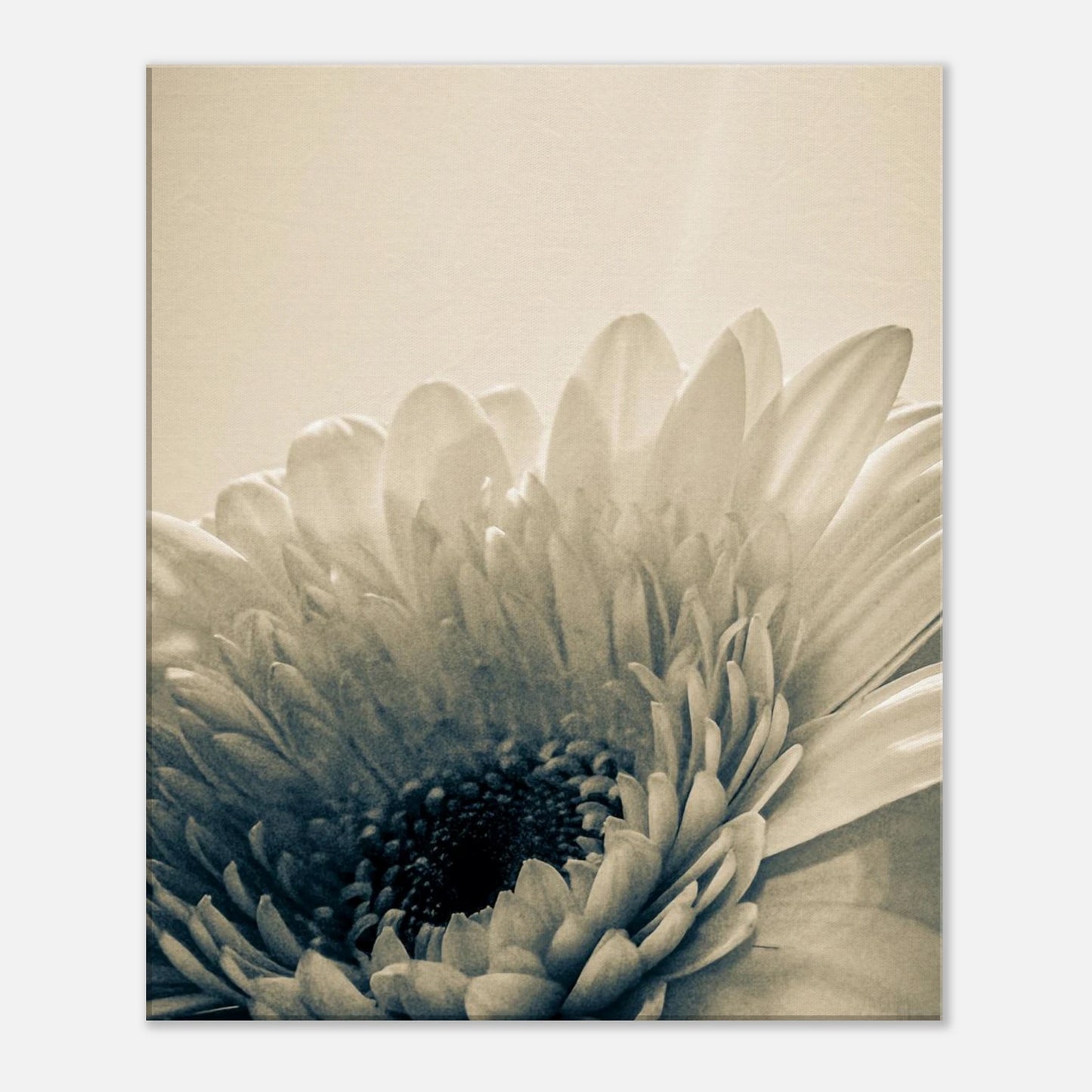 f8e26990-4101-4e12-a1d7-05602f81855c