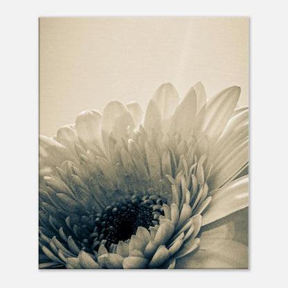 f8e26990-4101-4e12-a1d7-05602f81855c