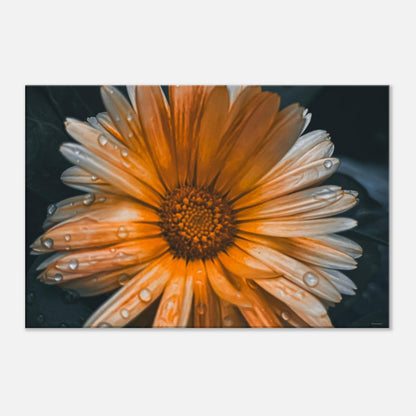 f8e2b78d-23a7-4ffa-ad9d-84798a82f864