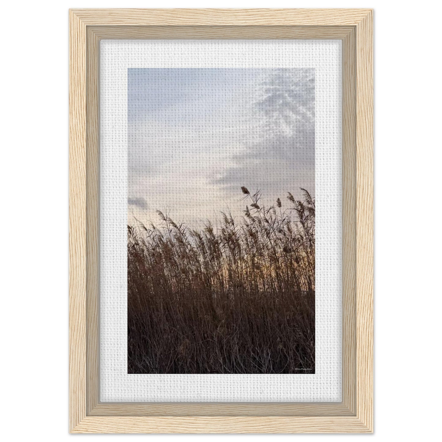 f8ef9295-4097-48ad-b537-09df42e8d32a