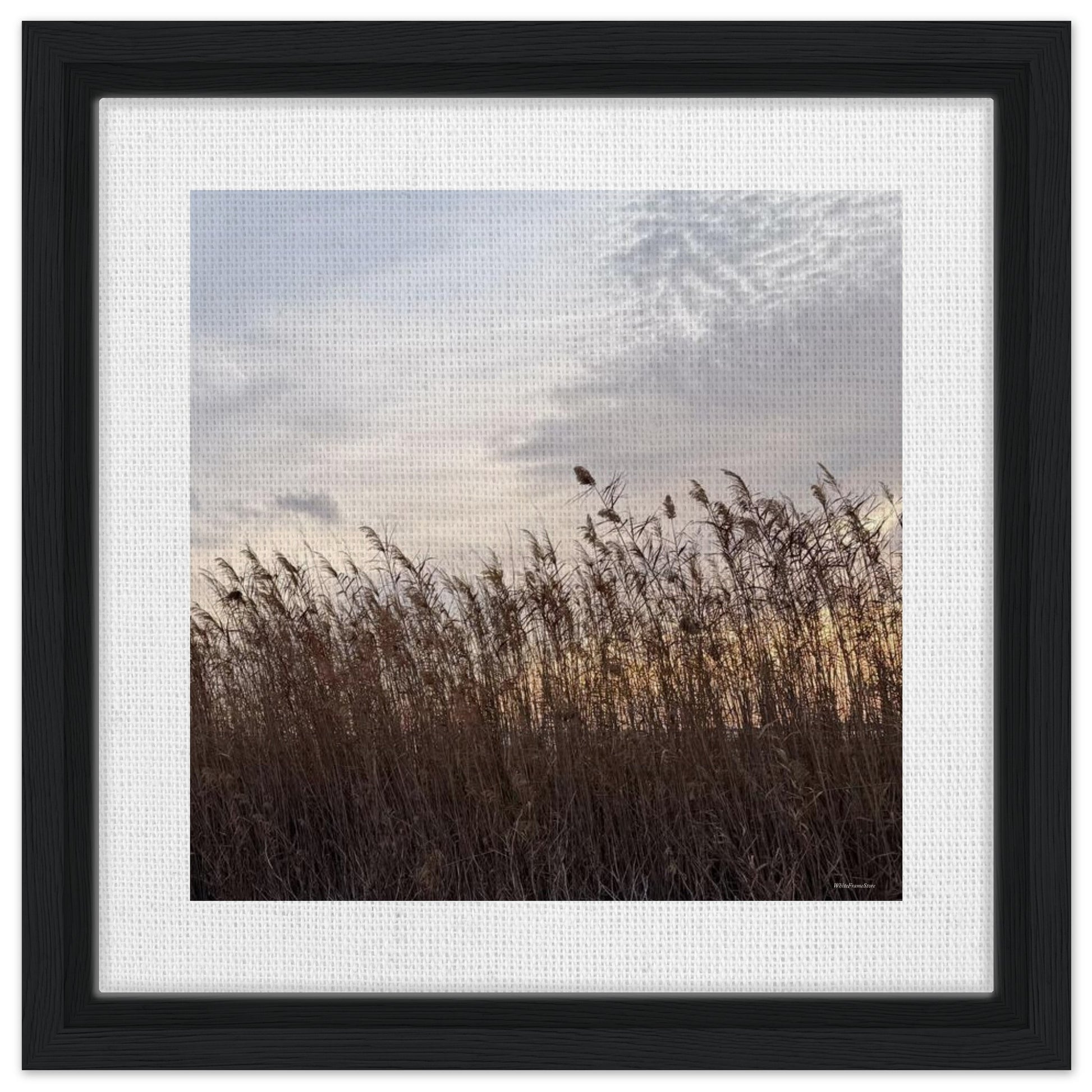 f8fa1559-e0c4-4a9d-8188-c857d6962f56