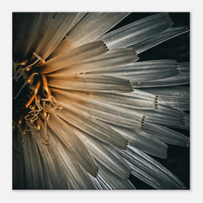 f91993da-7276-4667-86f5-0d042044ca47