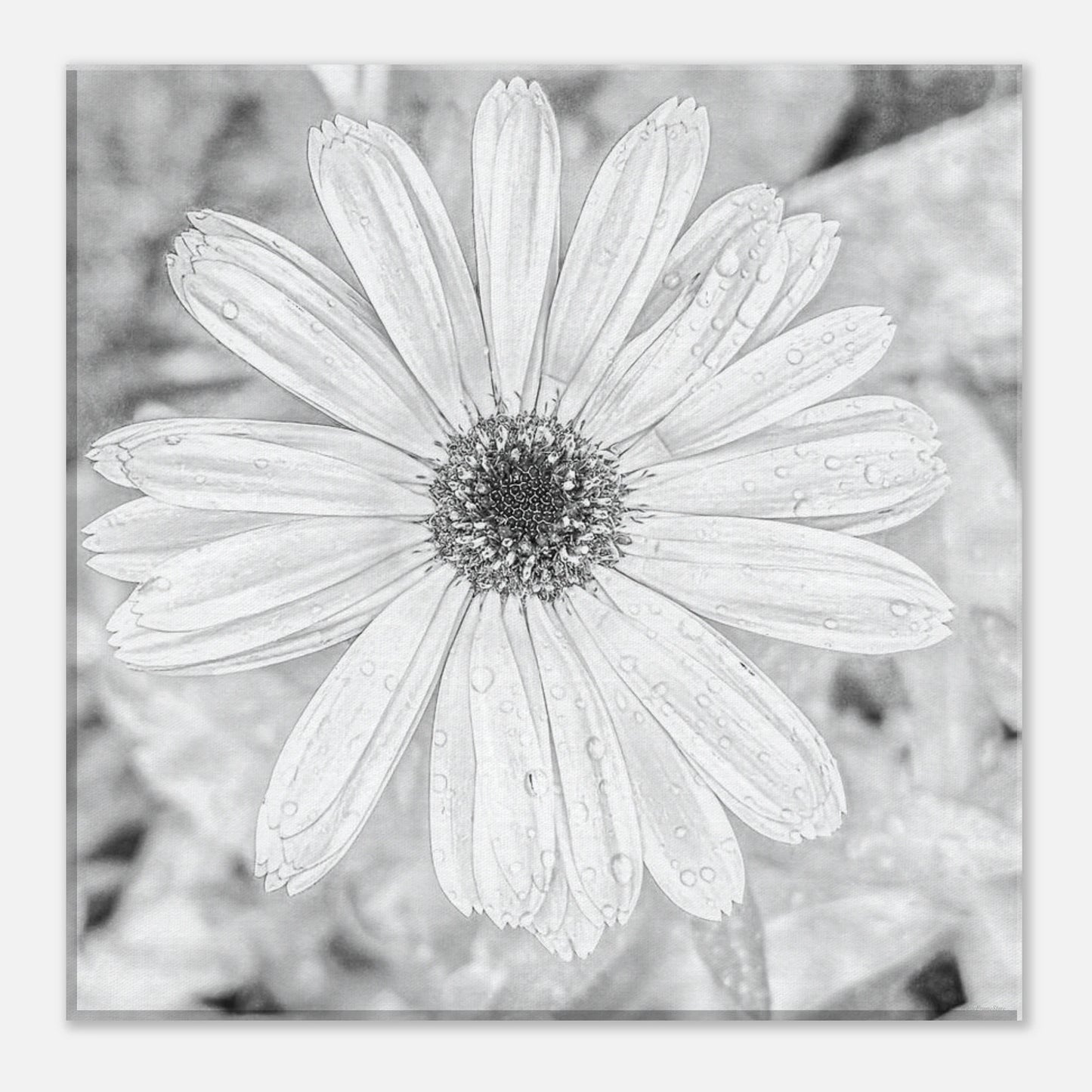 f9295029-b7a7-48e8-bd6f-c489c271345c