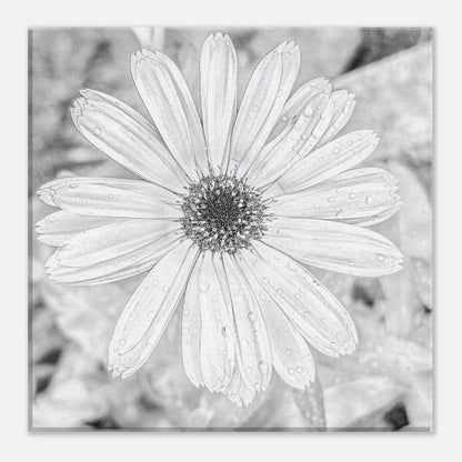 f9295029-b7a7-48e8-bd6f-c489c271345c