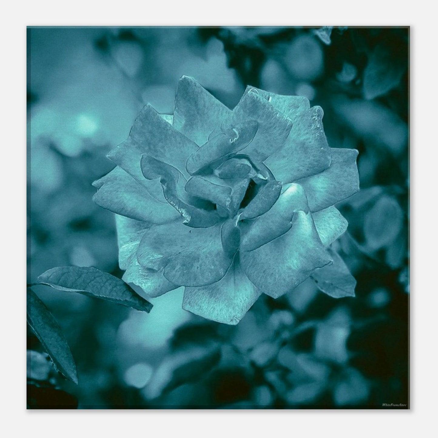 f92b9db9-07f9-48c3-9b0a-b7e36aea8a8b