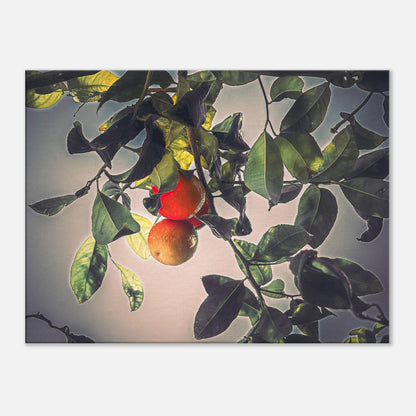 f92d2aa0-6b38-425e-80ff-be658022c6f3