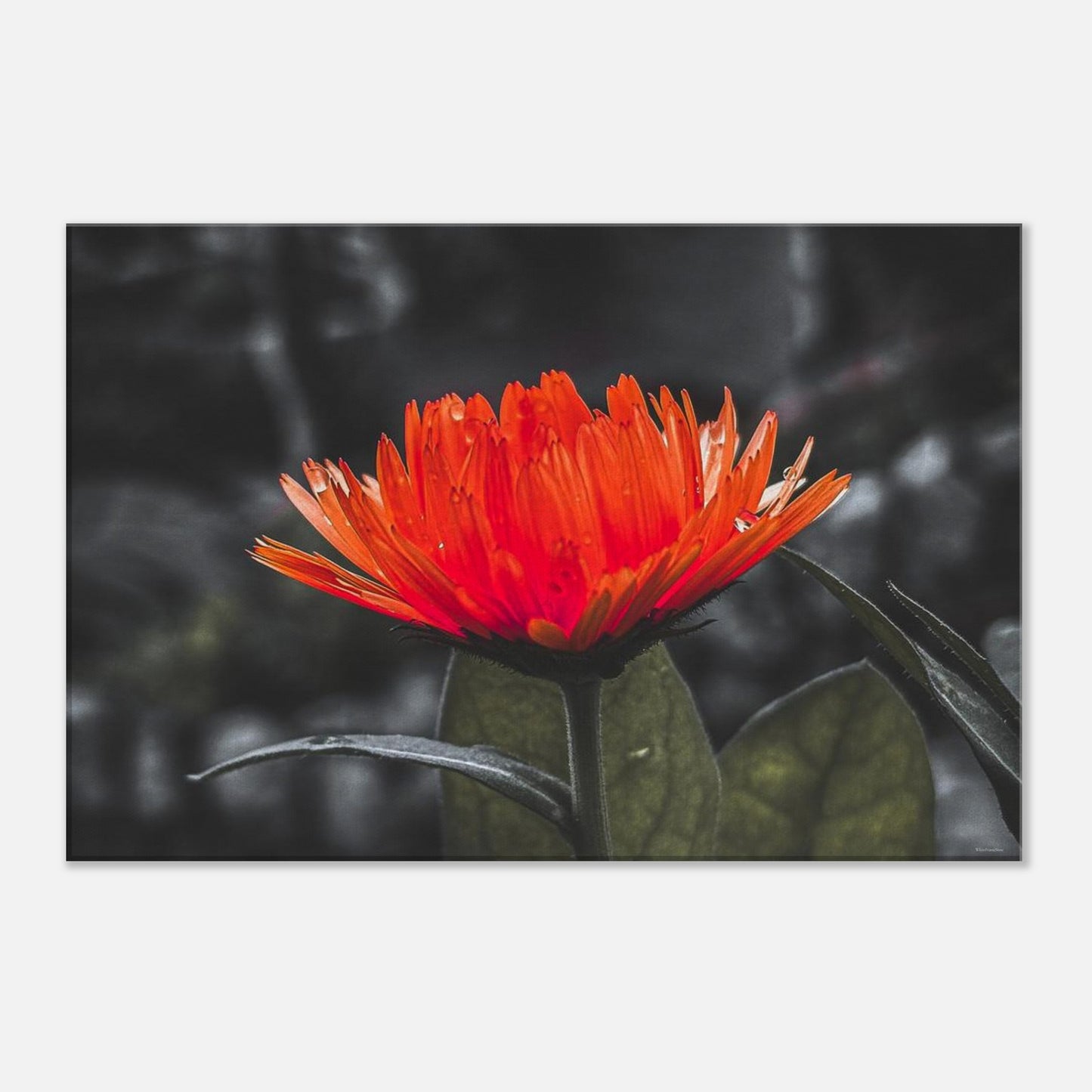 f9363cd1-728d-40c7-babd-d9f58353a886