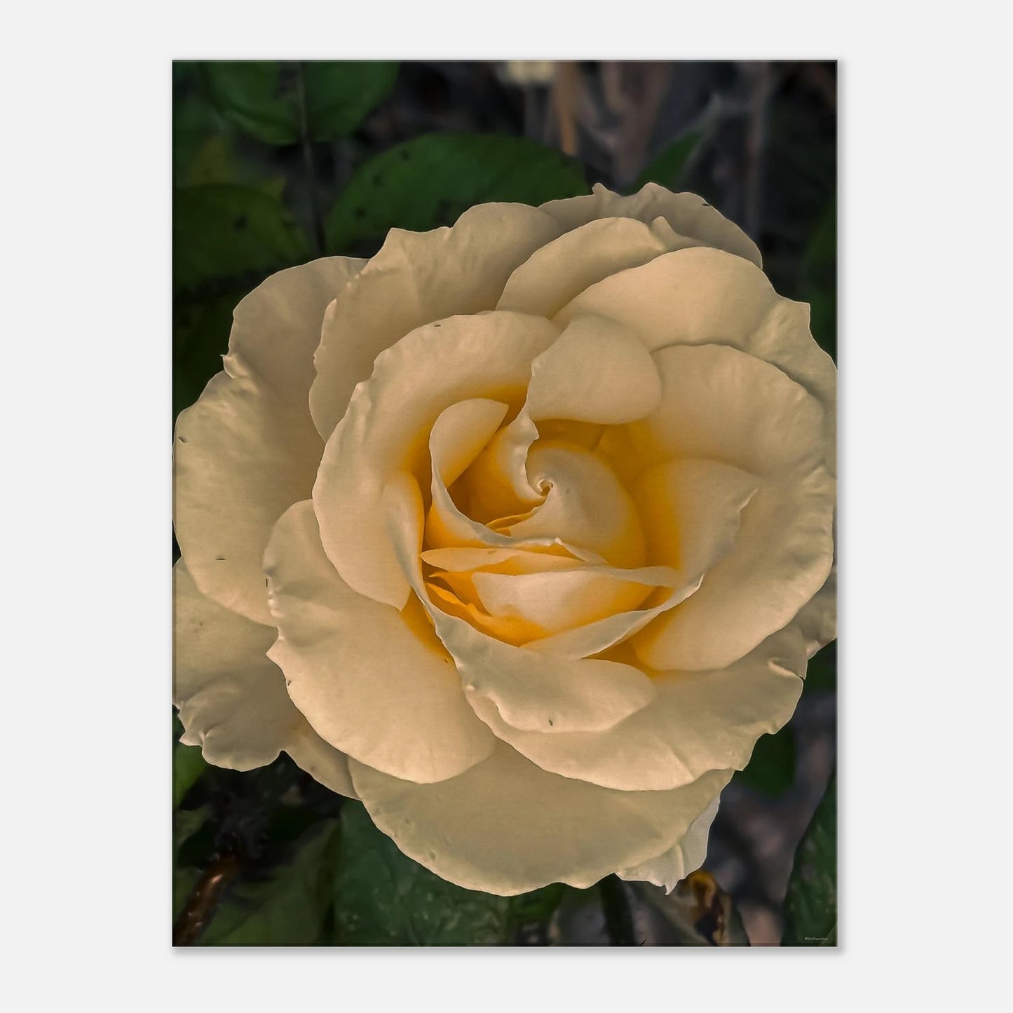 f93c603c-48a7-4579-b3bb-753c23220439