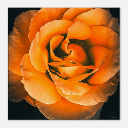 f93f6218-11f1-4bab-b38c-78d60bbbf0d5